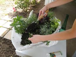 create a stunning herb container garden