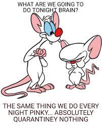 I used to love this t.v. The Pinky And The Brain Brain Brain Memes