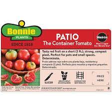 2 32 Qt Patio Hybrid Tomato Plant