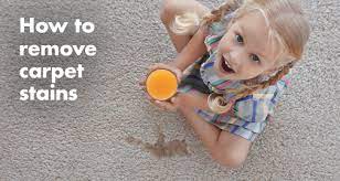 how to remove carpet stains oxiclean