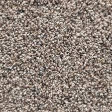 When making a selection below to narrow your results down, each selection made will reload the page to display the desired results. Mohawk Aldrich Plush Carpet 12 Ft Wide At Menards