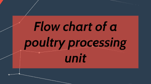 Poultry Processing Flow Chart By Driaan Strydom On Prezi