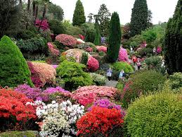 Така че сега нека пристъпим към директното проектиране и планиране, помнете, нашата основна цел е да създадем красива предна градина пред къщата. Cvetya I Zimna Gradina V Selskata Ksha Vrati Borman