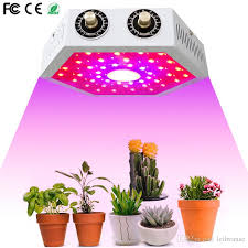 Cob Led Grow Light 1000w Full Spectrum Double Adjustable Switch Growing Lamps For Indoor Greenhouse Tent Plants Grow Led Light Grow Lamp 1000 Watt Grow Light From Ledwanse 80 84 Dhgate Com