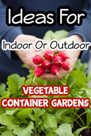 Container Gardening Beginners