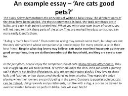 ppt as a level business studies essay writing powerpoint an example essay are cats good pets