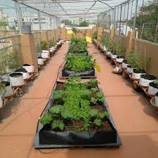 Installation Roof Top Kitchen Garden