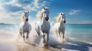 20 free horse running images free hd