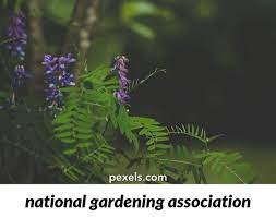 pin on gardening ideas and tips