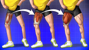 best exercises for bigger stronger legs