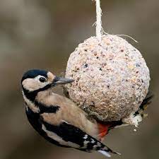 Giant Fat Ball on a Rope - Original | CJ Wildlife