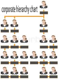 Corporate Hierarchy Chart Business Stock Vector Colourbox