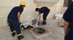 نتيجة بحث الصور عن صور تسليك