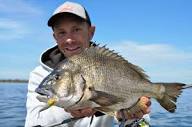 Berkley Fishing Australia | Maximize your success on the water ...