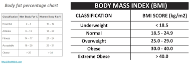 Veritable Body Muscle Mass Percentage Chart Body Fat Muscle