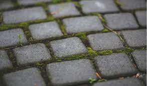 Pavers Maintenance Guide For Boston