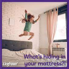 lice hiding in the mattress