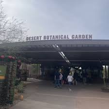 desert botanical garden 8315 photos