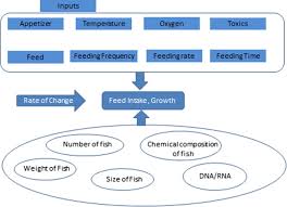 Models For Estimating Feed Intake In Aquaculture A Review
