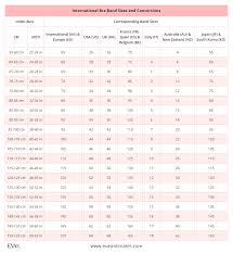 bra size charts and conversions