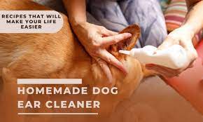homemade dog ear cleaner top 6 recipes
