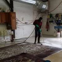 cleaning plant services