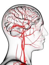 Abstract concept graphic element capillaries. Understanding Stroke Brain Institute Ohsu