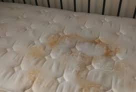 mattress covers encasing for bed bugs