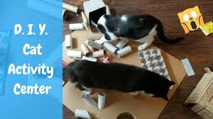 10 diy cat games to keep your kitty