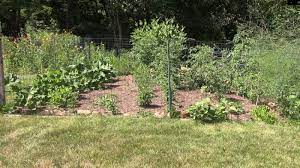 Build An In Ground Vegetable Garden
