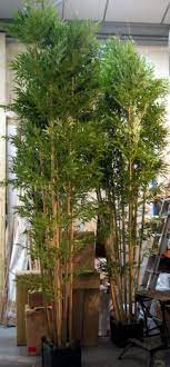 Artificial Trees Height Between 210cm