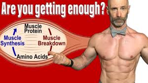 muscle growth and fat loss
