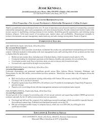 Resume Executive Summary Examples   Free Resume Example And     