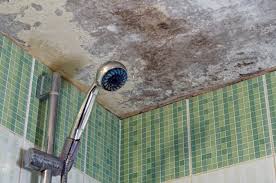 bathroom ceiling mold removal