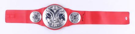 This wwe belt is just like the ones your favorite wrestling superstars wear. Vince Mcmahon Signed Wwe Tag Team Championship Wrestling Belt Psa Coa