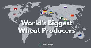Wheat Learn How To Trade It At Commodity Com