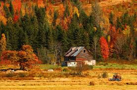 Hut in autumn mountain wallpaper | nature and landscape | Wallpaper Better