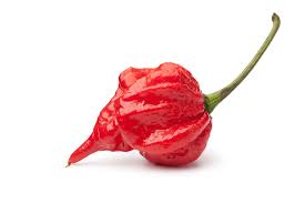 how to use scorpion pepper in dishes