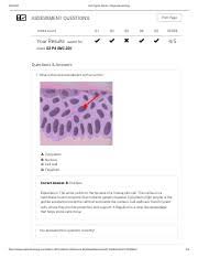 Cell wall, centriole, chloroplast, cytoplasm, endoplasmic. Cell Types Gizmo Explorelearning Pdf Cell Types Gizmo Explorelearning Assessment Questions Print Page Tunde Ajala Q1 Q2 Q3 Q4 Q5 Score Your Results Course Hero