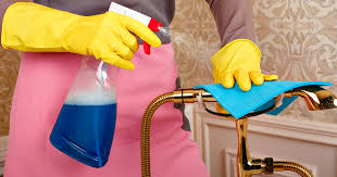 must have cleaning tools for every home