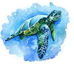 Sea Turtle Watercolor Painting By Daria