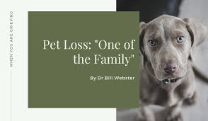 Grieving the loss of a pet after euthanasia is emotionally and physically draining. Pet Loss One Of The Family Bear Creek Funeral Home