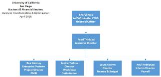 Business Transformation And Optimizations Org Chart