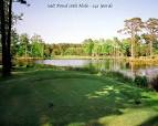Scorecard and Hole Description - The Salt Pond Golf Club