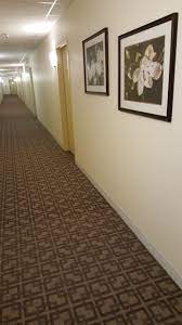 shaw contract carpet really sparks up
