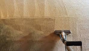 allergen removal from carpets in