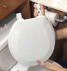 Replace A Toilet Seat Prep For Medical