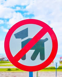 Home › unlabelled › hunde verboten schild ausdrucken / aufkleber hundeverbot hundefreie zone hunde verboten. Bilder Hunde Verboten Gratis Vektoren Fotos Und Psds