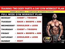 two body parts a day workout plan gym