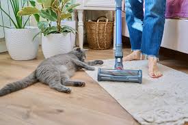 10 best vacuums for cat hair in 2024